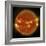 A Solar Flare Erupting on the Left Side of the Sun-null-Framed Premium Giclee Print