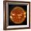 A Solar Flare Erupting on the Left Side of the Sun-null-Framed Premium Giclee Print