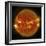 A Solar Flare Erupting on the Left Side of the Sun-null-Framed Premium Giclee Print