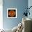 A Solar Flare Erupting on the Left Side of the Sun-null-Framed Premium Giclee Print displayed on a wall