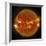 A Solar Flare Erupting on the Left Side of the Sun-null-Framed Premium Giclee Print