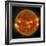 A Solar Flare Erupting on the Left Side of the Sun-null-Framed Premium Giclee Print