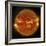 A Solar Flare Erupting on the Left Side of the Sun-null-Framed Premium Giclee Print