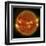 A Solar Flare Erupting on the Left Side of the Sun-null-Framed Art Print