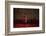 A soldier salutes in the midst of poppies at the Tower of London-Associated Newspapers-Framed Photo