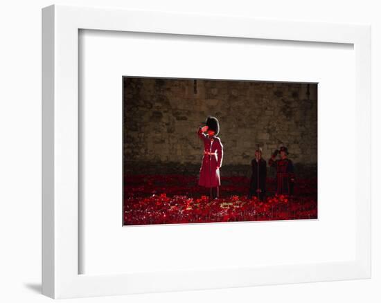 A soldier salutes in the midst of poppies at the Tower of London-Associated Newspapers-Framed Photo