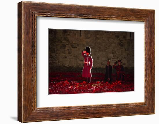 A soldier salutes in the midst of poppies at the Tower of London-Associated Newspapers-Framed Photo