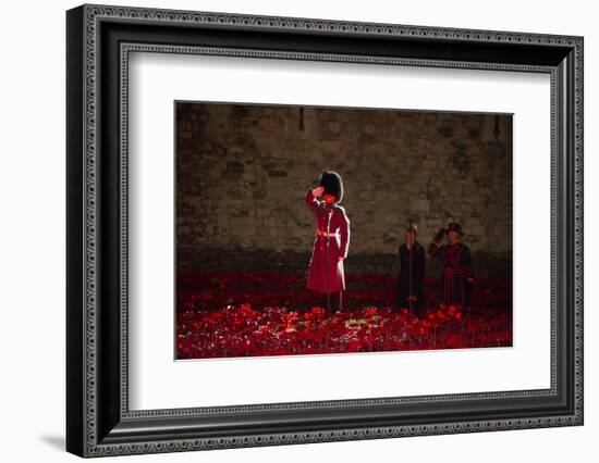 A soldier salutes in the midst of poppies at the Tower of London-Associated Newspapers-Framed Photo