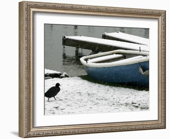 A Solitary Bird Walks Past a Boat Covered by Overnight Snow-null-Framed Photographic Print