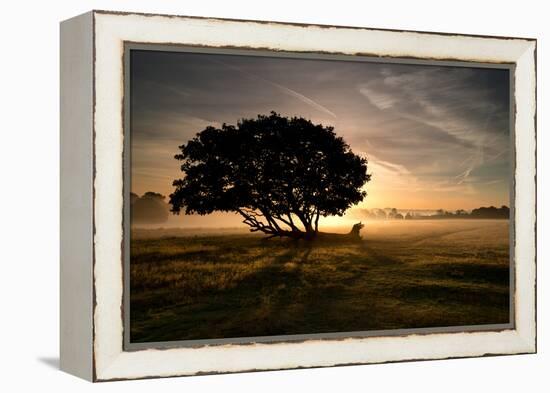 A Solitary Fallen Live Tree Under a Dramatic Sky on a Misty Morning-Alex Saberi-Framed Premier Image Canvas