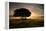 A Solitary Fallen Live Tree Under a Dramatic Sky on a Misty Morning-Alex Saberi-Framed Premier Image Canvas