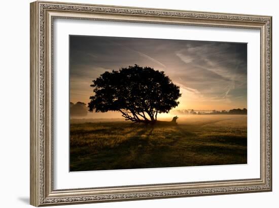 A Solitary Fallen Live Tree Under a Dramatic Sky on a Misty Morning-Alex Saberi-Framed Photographic Print