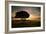 A Solitary Fallen Live Tree Under a Dramatic Sky on a Misty Morning-Alex Saberi-Framed Photographic Print