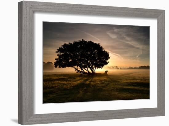 A Solitary Fallen Live Tree Under a Dramatic Sky on a Misty Morning-Alex Saberi-Framed Photographic Print