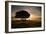 A Solitary Fallen Live Tree Under a Dramatic Sky on a Misty Morning-Alex Saberi-Framed Photographic Print