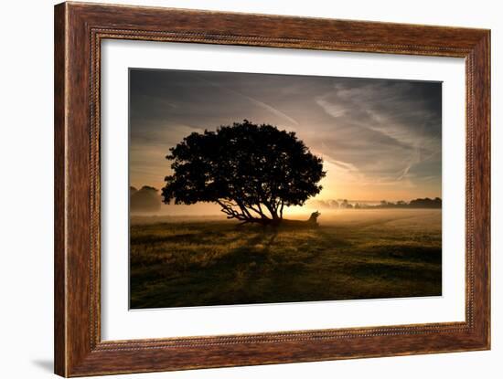 A Solitary Fallen Live Tree Under a Dramatic Sky on a Misty Morning-Alex Saberi-Framed Photographic Print