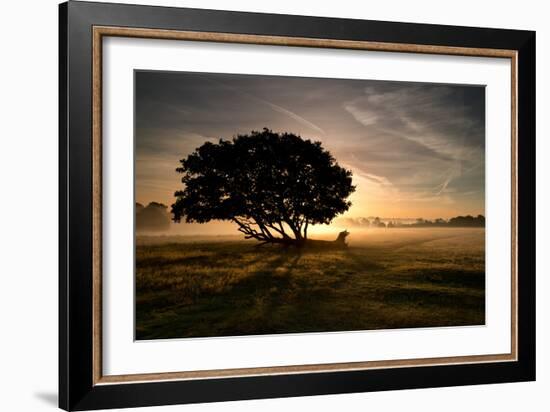 A Solitary Fallen Live Tree Under a Dramatic Sky on a Misty Morning-Alex Saberi-Framed Photographic Print