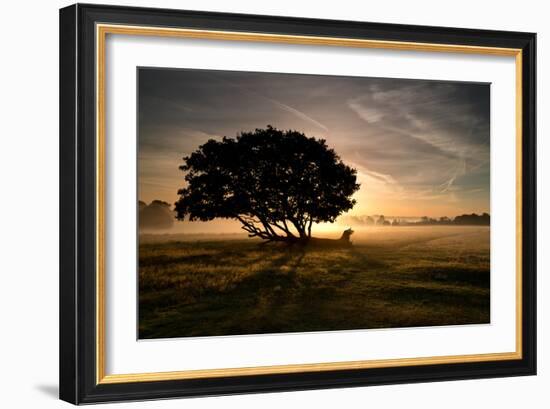 A Solitary Fallen Live Tree Under a Dramatic Sky on a Misty Morning-Alex Saberi-Framed Photographic Print