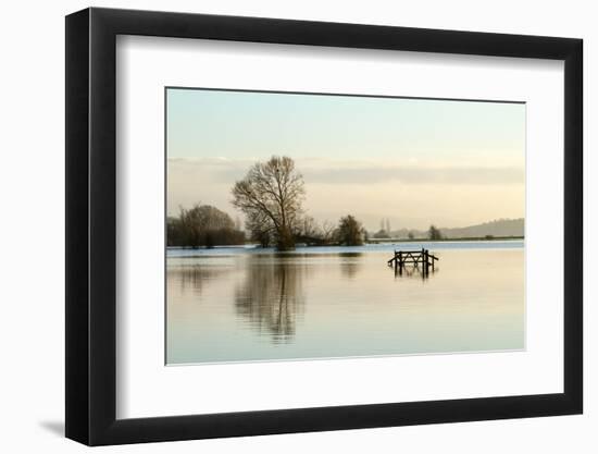 A Solitary Gate in Calm Flood-Waters in Farmland on West Sedgemoor, Near Stoke St Gregory-John Waters-Framed Photographic Print