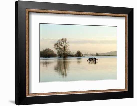 A Solitary Gate in Calm Flood-Waters in Farmland on West Sedgemoor, Near Stoke St Gregory-John Waters-Framed Photographic Print