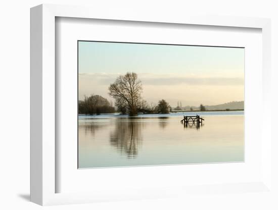 A Solitary Gate in Calm Flood-Waters in Farmland on West Sedgemoor, Near Stoke St Gregory-John Waters-Framed Photographic Print