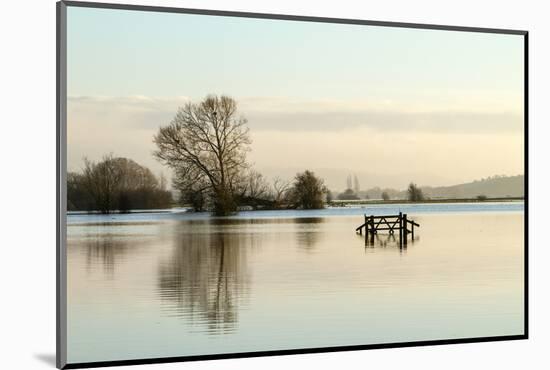 A Solitary Gate in Calm Flood-Waters in Farmland on West Sedgemoor, Near Stoke St Gregory-John Waters-Mounted Photographic Print