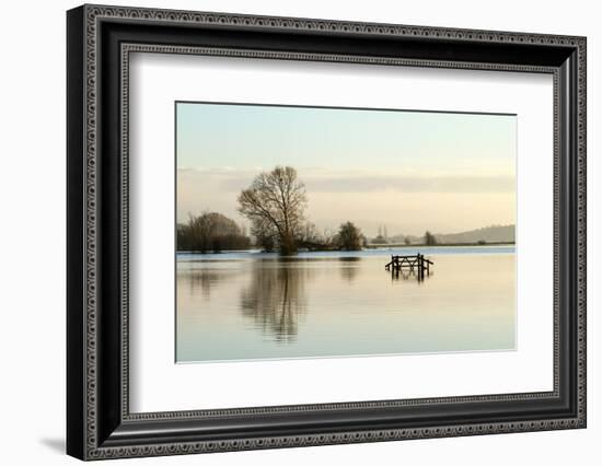 A Solitary Gate in Calm Flood-Waters in Farmland on West Sedgemoor, Near Stoke St Gregory-John Waters-Framed Photographic Print