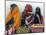 A Somali Woman in Hargeisa, Somalia-null-Mounted Photographic Print