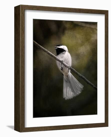 A Song in Your Heart Chickadee-Jai Johnson-Framed Giclee Print