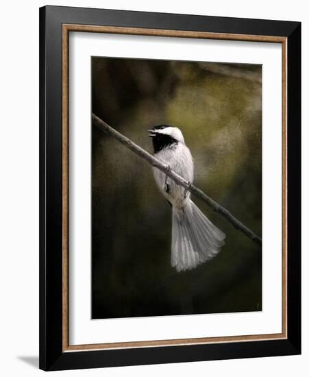 A Song in Your Heart Chickadee-Jai Johnson-Framed Giclee Print