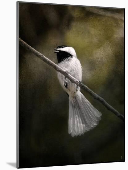 A Song in Your Heart Chickadee-Jai Johnson-Mounted Giclee Print