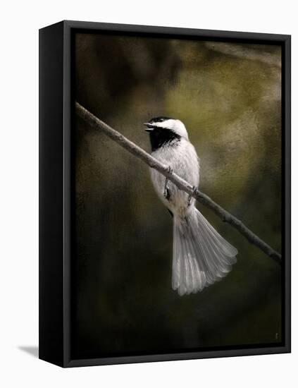 A Song in Your Heart Chickadee-Jai Johnson-Framed Premier Image Canvas