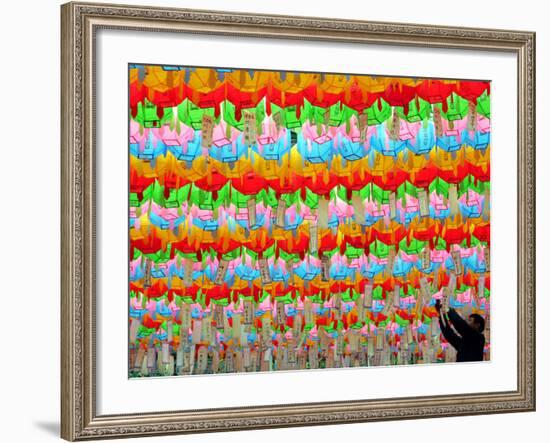 A South Korean Worker Decorates Lanterns to Celebrate Buddha's Upcoming Birthday-null-Framed Photographic Print