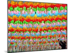 A South Korean Worker Decorates Lanterns to Celebrate Buddha's Upcoming Birthday-null-Mounted Photographic Print