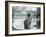 A Southern Elephant Seal at London Zoo, January 1912-Frederick William Bond-Framed Photographic Print