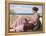 A Souvenir, 1920-John William Godward-Framed Premier Image Canvas