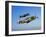 A Soviet Yakovlev Yak-3 and a P-51A Mustang in Flight-Stocktrek Images-Framed Photographic Print