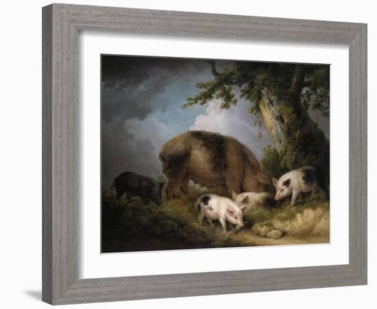 A Sow and Her Four Piglets in a Wooded Landscape-Henry Thomas Alken-Framed Giclee Print