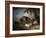 A Sow and Her Four Piglets in a Wooded Landscape-Henry Thomas Alken-Framed Giclee Print