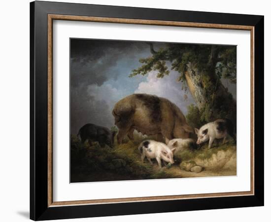 A Sow and Her Four Piglets in a Wooded Landscape-Henry Thomas Alken-Framed Giclee Print