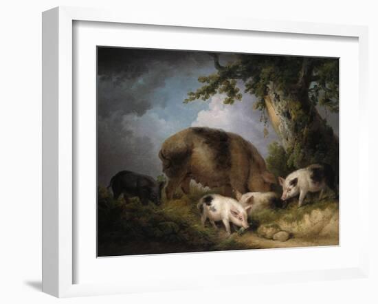 A Sow and Her Four Piglets in a Wooded Landscape-Henry Thomas Alken-Framed Giclee Print