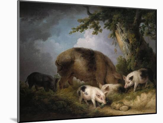 A Sow and Her Four Piglets in a Wooded Landscape-Henry Thomas Alken-Mounted Giclee Print