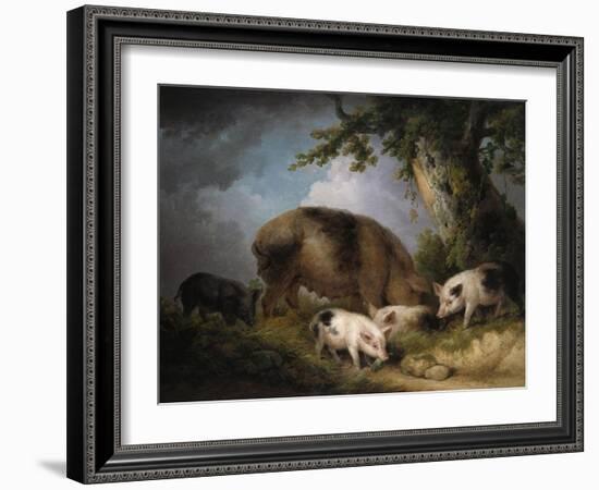 A Sow and Her Four Piglets in a Wooded Landscape-Henry Thomas Alken-Framed Giclee Print