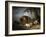 A Sow and Her Four Piglets in a Wooded Landscape-Henry Thomas Alken-Framed Giclee Print