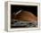 A Spaceship in Orbit over Mars Moon, Phobos, with the Red Planet Mars in the Background-null-Framed Premier Image Canvas