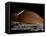 A Spaceship in Orbit over Mars Moon, Phobos, with the Red Planet Mars in the Background-null-Framed Premier Image Canvas