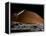 A Spaceship in Orbit over Mars Moon, Phobos, with the Red Planet Mars in the Background-null-Framed Premier Image Canvas