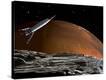 Stretched Canvas Print