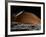 A Spaceship in Orbit over Mars Moon, Phobos, with the Red Planet Mars in the Background-null-Framed Photographic Print