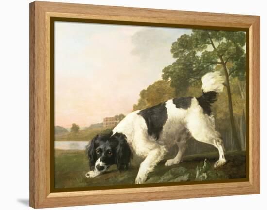 A Spaniel in a Landscape, 1771-George Stubbs-Framed Premier Image Canvas